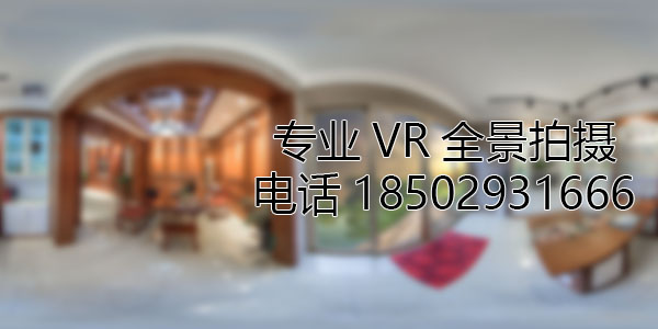 托克托VR全景技术在未来可能的发展方向和应用领域?